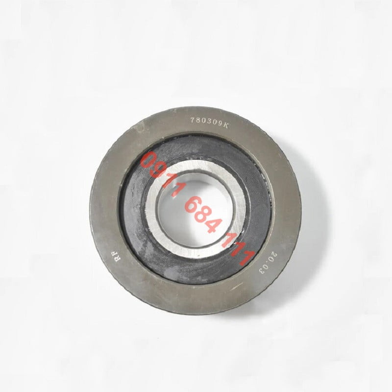 Bạc Đạn Xích 780309K