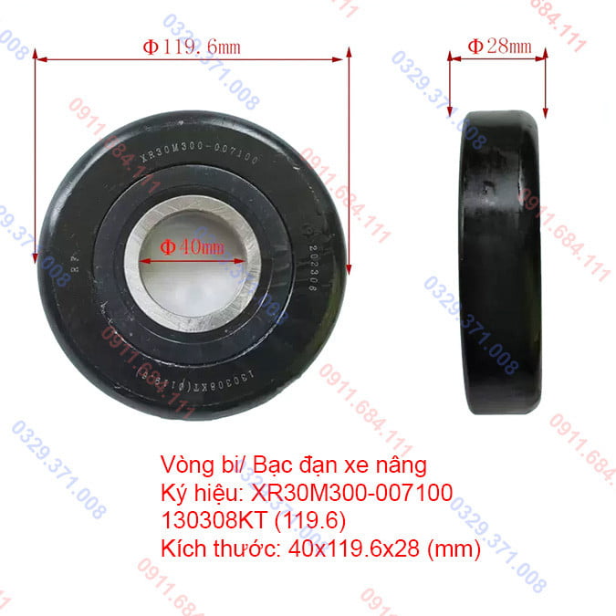Bạc Đạn XR30M300-007100