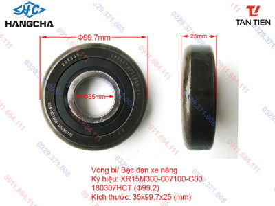 Vòng Bi Xe Nâng HANGCHA XR18M300-303000-000
