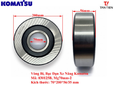 Vòng Bi Xe Nâng Komatsu B-SX07D33