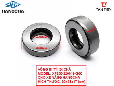Vòng Bi XF250-220019-G00