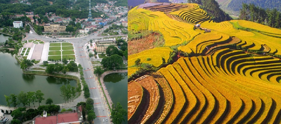phát triển kinh tế xe nâng tại yên bái phát triển kinh tế xe nâng tại yên bái