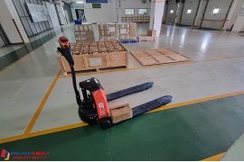 xe nâng tay điện 2 tấn