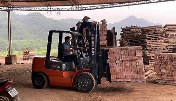 xe nâng heli nâng gạch tuynel