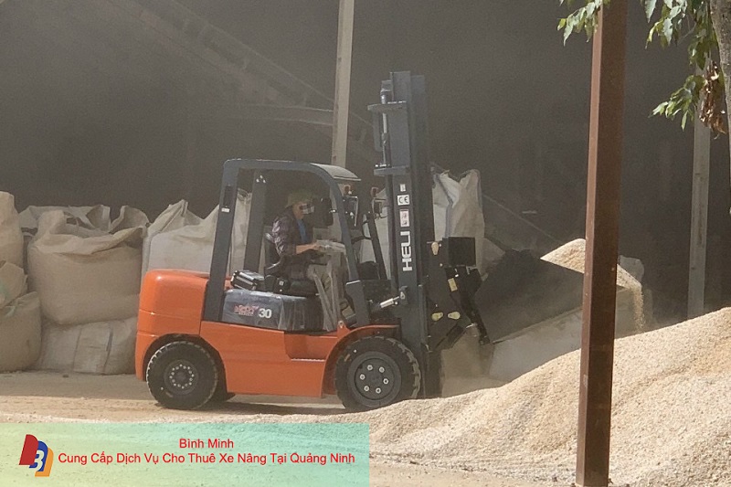 Dịch Vụ Cho Thuê Xe Nâng Mới Tại Quảng Ninh