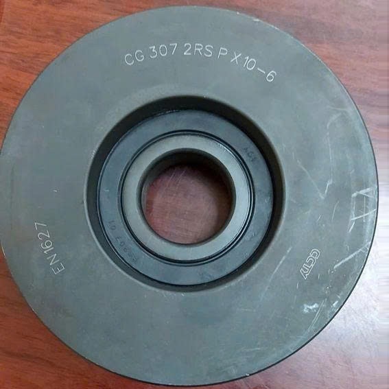 Bi-Xich-Xe-Nang-CG307-2RS-P-X-10-6